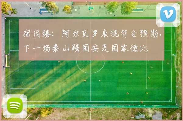 宿茂臻：阿尔瓦罗表现符合预期，下一场泰山踢国安是国家德比